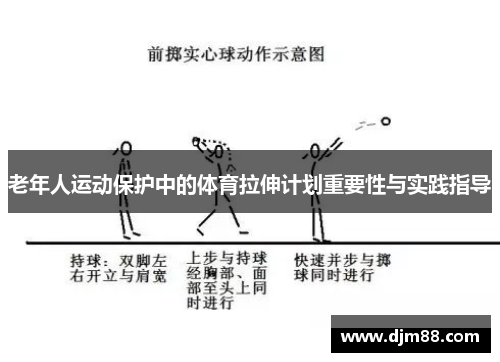 老年人运动保护中的体育拉伸计划重要性与实践指导